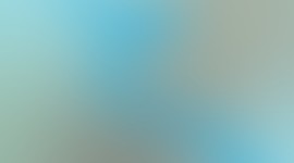 Timeline: Historia de la Educación