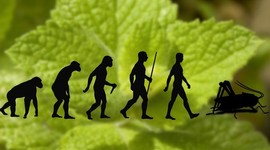 Timeline: Biodiversidad Precedentes históricos