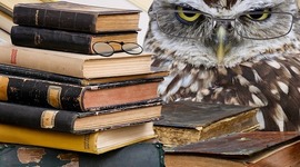 Timeline: Pedagogía y Teorías del Aprendizaje Significativo