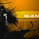Bleach kurosaki 00372629