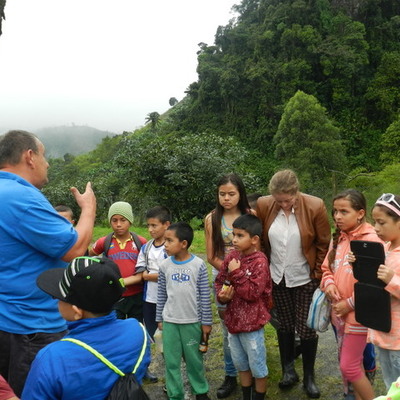 Timeline: LINEA DE TIEMPO DEL PROYECTO EDUCATIVO AMBIENTAL