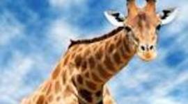 Timeline: History Class Timeline 2017-2018 (Taylor Soehner)