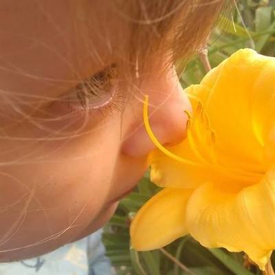 Timeline: Early Childhood Education History Timeline