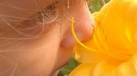 Timeline: Early Childhood Education History Timeline