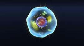 Timeline: Aportaciones al concepto de célula según autores.