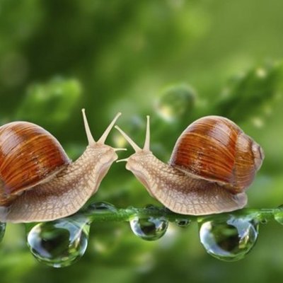 Timeline: Línea del tiempo