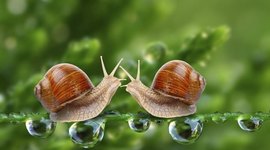 Timeline: Línea del tiempo