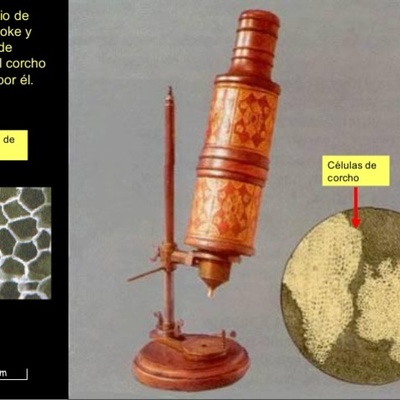 Timeline: Robert Hooke 1665