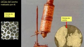 Timeline: Robert Hooke 1665