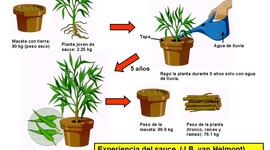 Timeline: 1648 Jan Van Helmont Sus aportes fueron en Nutrición Vegetal.Intento descubrir la fuente de los materiales nutritivos para los vegetales .Experimento con un arbol de sauce