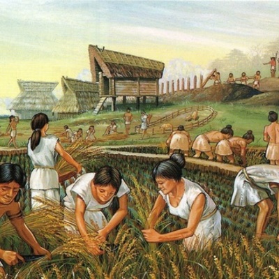 Timeline: Neolithic Revolution