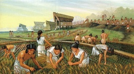 Timeline: Neolithic Revolution
