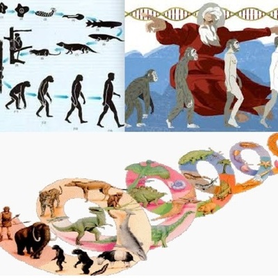 Timeline: Evolución:Pensadores que colaboraron en la clasificación de los seres vivos