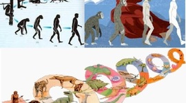 Timeline: Evolución:Pensadores que colaboraron en la clasificación de los seres vivos