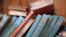 Timeline: PROCESO DE INVESTIGACIÓN DOCUMENTAL Y DE CAMPO