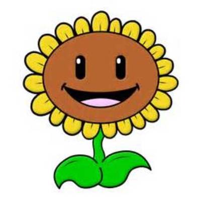 Timeline: The Stages of a Plant (Sunflower)