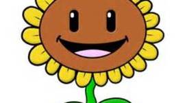 Timeline: The Stages of a Plant (Sunflower)