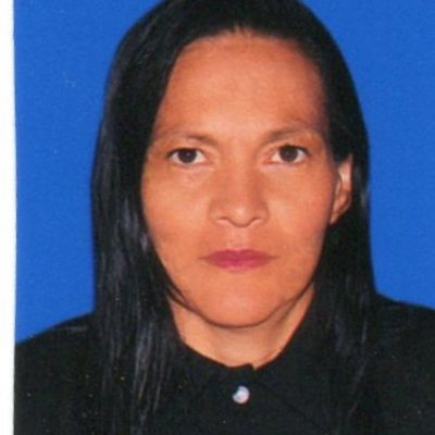 Timeline: Procesos de formación docente