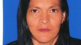 Timeline: Procesos de formación docente