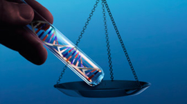 Timeline: Contribuciones a la Bioetica