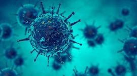 Timeline: Linea de Tiempo Pandemias