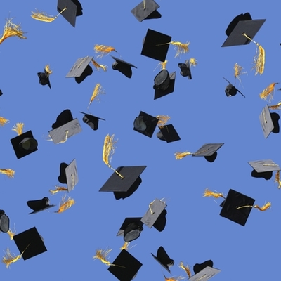 Timeline: Career Project