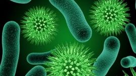 Timeline: Historia de la Microbiología