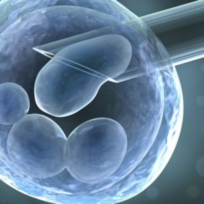 Timeline: Reproducción Asistida