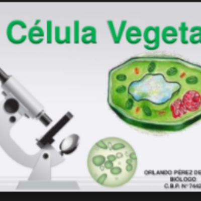 Timeline: EXPERIMENTOS QUE SE UTILIZARON EN LA EVOLUCIÓN DE LA CÉLULA