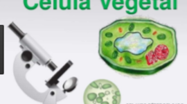 Timeline: EXPERIMENTOS QUE SE UTILIZARON EN LA EVOLUCIÓN DE LA CÉLULA