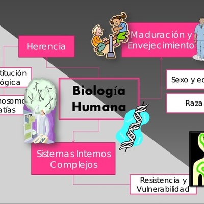 Timeline: PROCESO SALUD-ENFERMEDAD: HACIA UNA CLÍNICA Y UNA EPIDEMIOLOGÍA NO POSITIVISTAS.