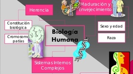 Timeline: PROCESO SALUD-ENFERMEDAD: HACIA UNA CLÍNICA Y UNA EPIDEMIOLOGÍA NO POSITIVISTAS.