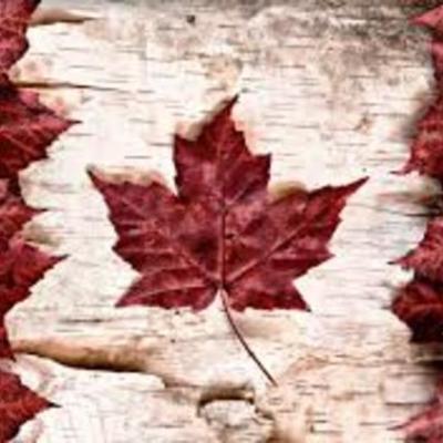 Timeline: Canadian History (1850-1914)