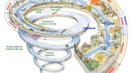 Timeline: LA STORIA DELLA TERRA