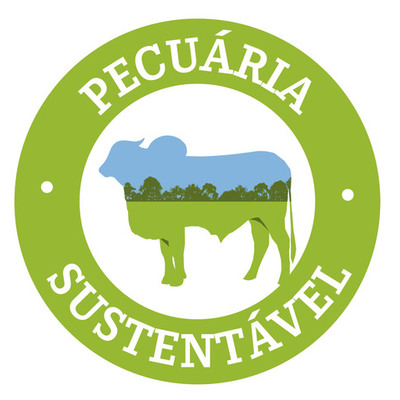 Timeline: XX Exposição