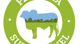 Timeline: XX Exposição