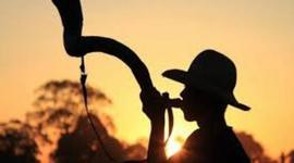 Timeline: 40 ANOS DE MATO GROSSO DO SUL, gabriel 8 ano b