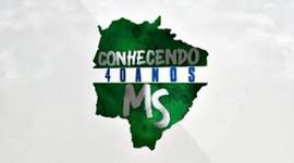 Timeline: 40 anos de mato grosso do sul 8;B nome;henrique souza vieira