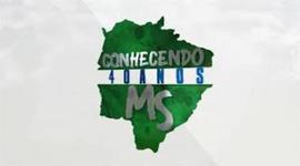 Timeline: 40 ANOS DO MATO GROSSO DO SUL, BRUNO 8ºB
