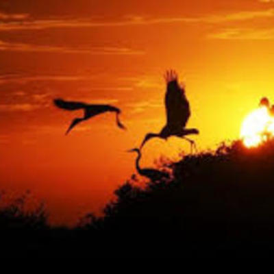 Timeline: 40 ANOS DO MATO GROSSO DO SUL