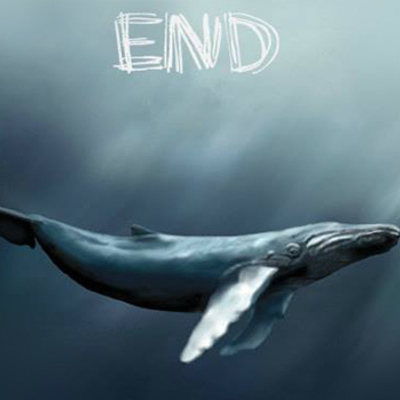 Timeline: Blue Whale Challenge