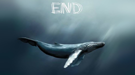 Timeline: Blue Whale Challenge