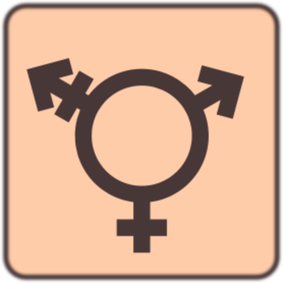 Timeline: História da população Trans