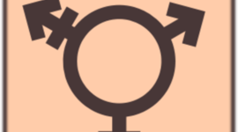 Timeline: História da população Trans