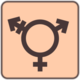 Ico igualdade trans