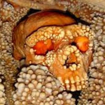 Timeline: Ancient history