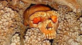 Timeline: Ancient history