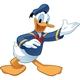4338755 donald duck 30