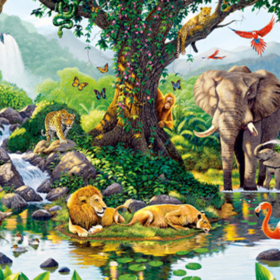 Timeline: REINOS DE LA NATURALEZA