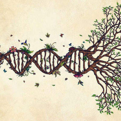 Timeline: Calidad de Vida